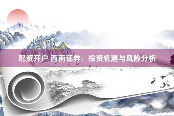 配资开户 西南证券：投资机遇与风险分析