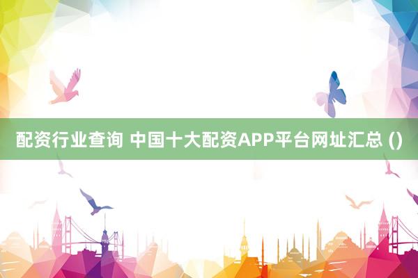 配资行业查询 中国十大配资APP平台网址汇总 ()