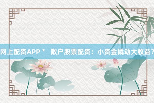 网上配资APP *   散户股票配资：小资金撬动大收益？