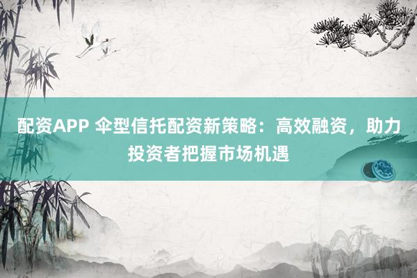 配资APP 伞型信托配资新策略：高效融资，助力投资者把握市场机遇