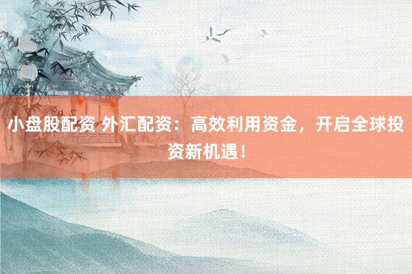 小盘股配资 外汇配资：高效利用资金，开启全球投资新机遇！