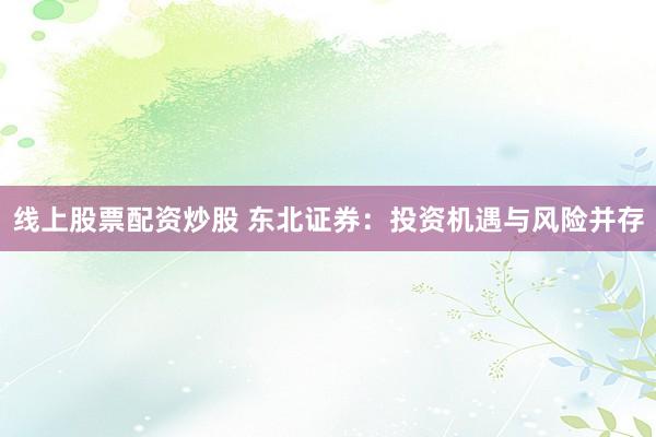 线上股票配资炒股 东北证券：投资机遇与风险并存