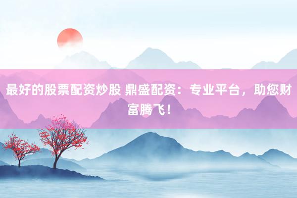 最好的股票配资炒股 鼎盛配资：专业平台，助您财富腾飞！