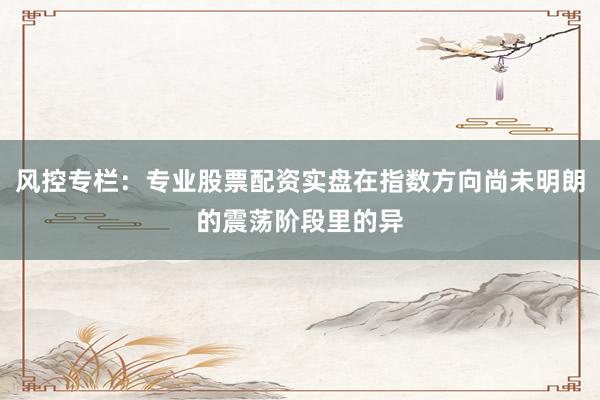 风控专栏：专业股票配资实盘在指数方向尚未明朗的震荡阶段里的异