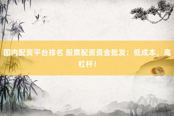 国内配资平台排名 股票配资资金批发：低成本，高杠杆！