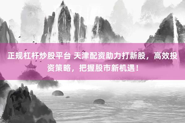 正规杠杆炒股平台 天津配资助力打新股，高效投资策略，把握股市新机遇！