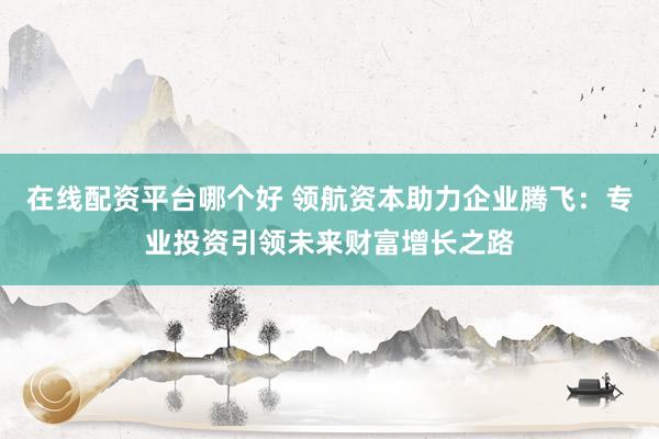 在线配资平台哪个好 领航资本助力企业腾飞：专业投资引领未来财富增长之路
